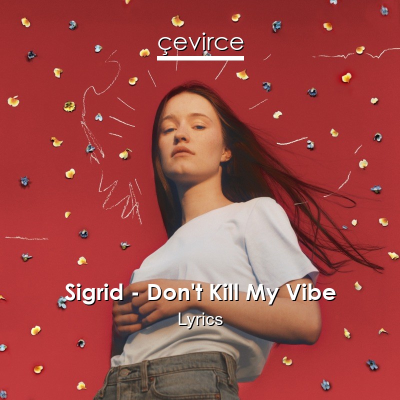 Sigrid – Don’t Kill My Vibe Lyrics