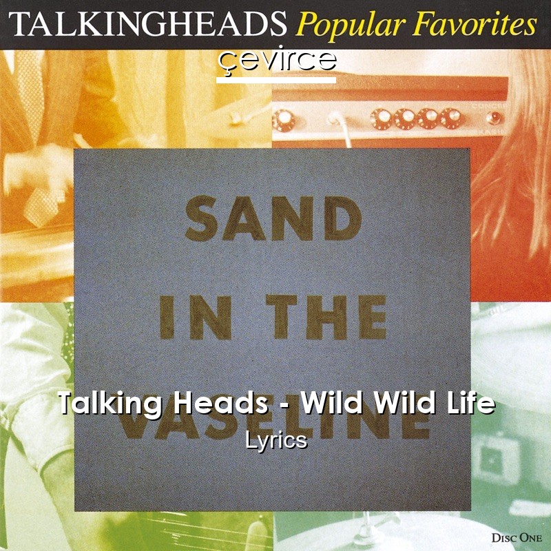 Talking Heads – Wild Wild Life Lyrics