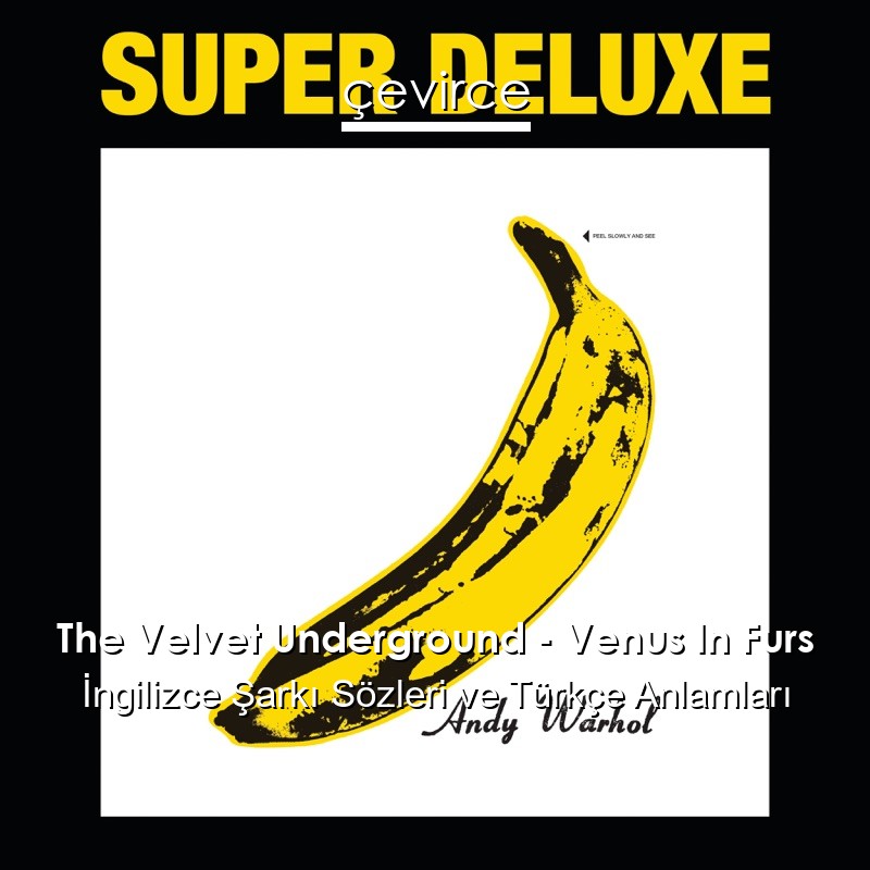 The Velvet Underground – Venus In Furs İngilizce Şarkı Sözleri Türkçe Anlamları