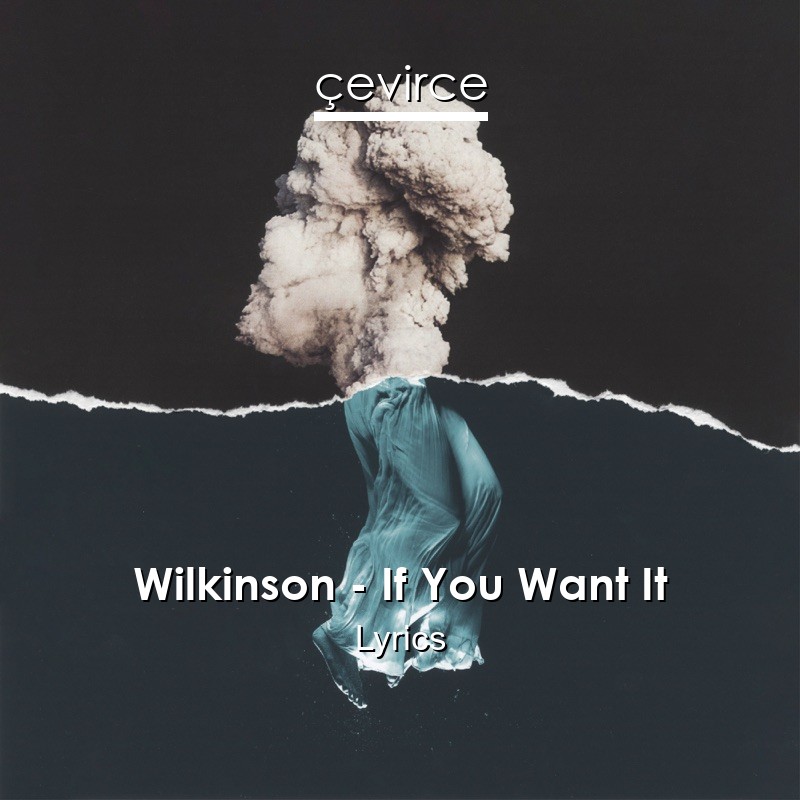 Wilkinson – If You Want It Lyrics