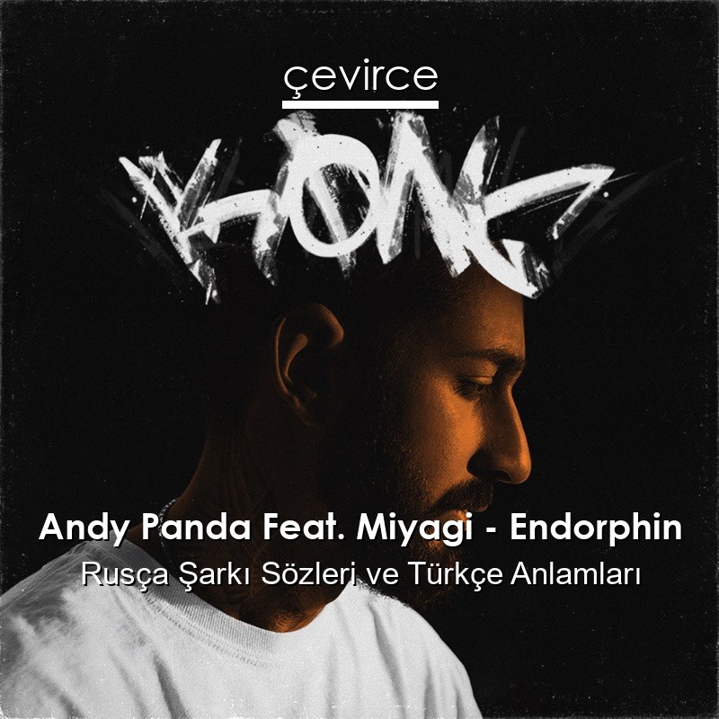 Andy Panda Feat. Miyagi – Endorphin Rusça Şarkı Sözleri Türkçe Anlamları