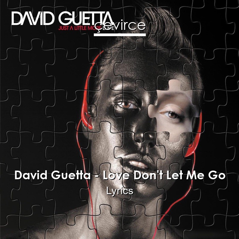 David Guetta – Love Don’t Let Me Go Lyrics