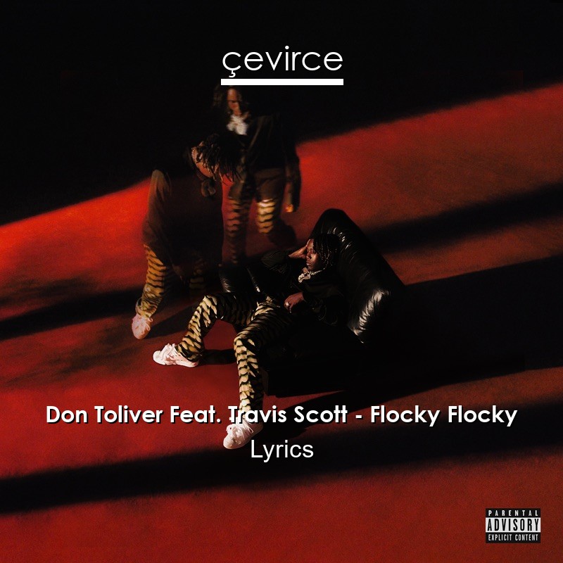 Don Toliver Feat. Travis Scott – Flocky Flocky Lyrics