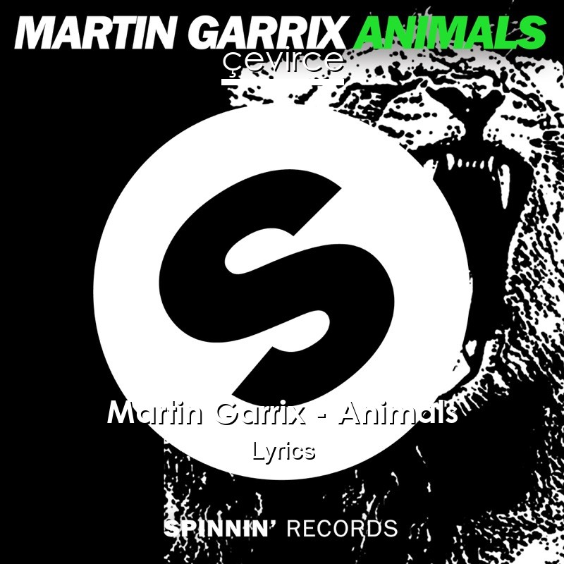 Martin Garrix – Animals Lyrics