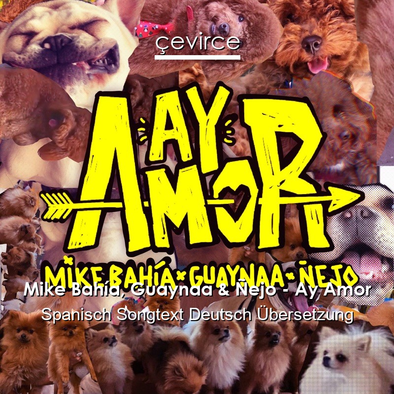 Mike Bahía, Guaynaa & Ñejo – Ay Amor Spanisch Songtext Deutsch Übersetzung