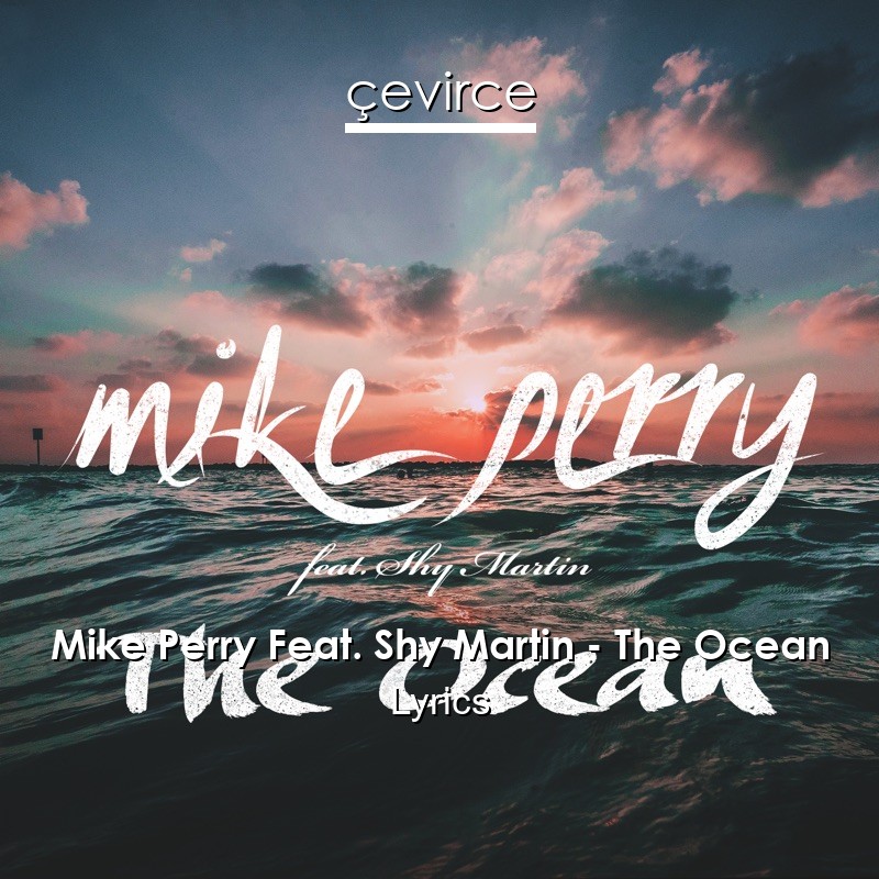 Mike Perry Feat. Shy Martin – The Ocean Lyrics