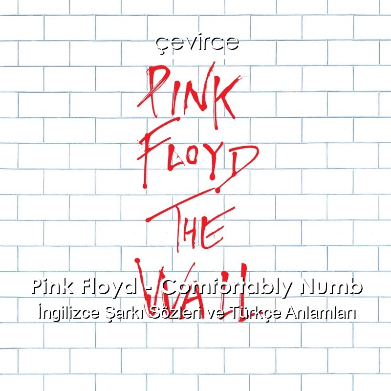 Pink Floyd – Comfortably Numb İngilizce Şarkı Sözleri Türkçe Anlamları