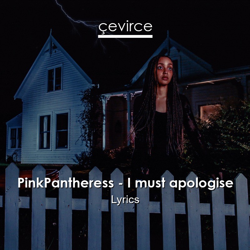 PinkPantheress – I must apologise Lyrics