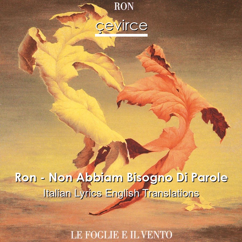 Ron – Non Abbiam Bisogno Di Parole Italian Lyrics English Translations