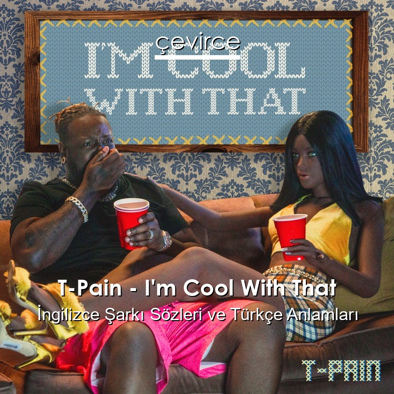 T-Pain – I’m Cool With That İngilizce Şarkı Sözleri Türkçe Anlamları