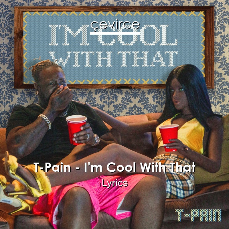 T-Pain – I’m Cool With That Lyrics