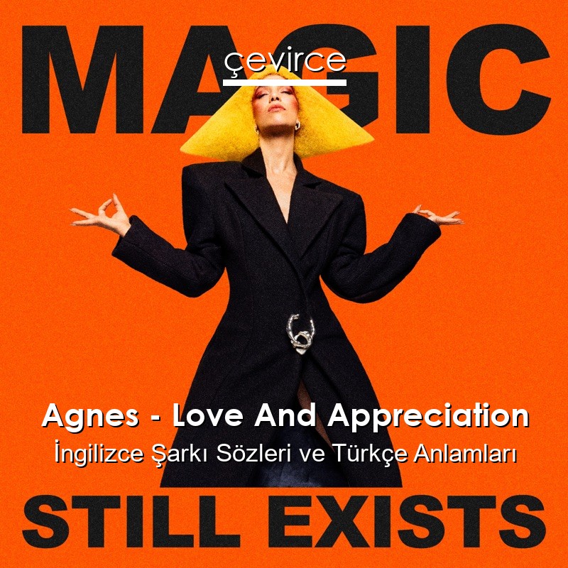 Agnes – Love And Appreciation İngilizce Şarkı Sözleri Türkçe Anlamları