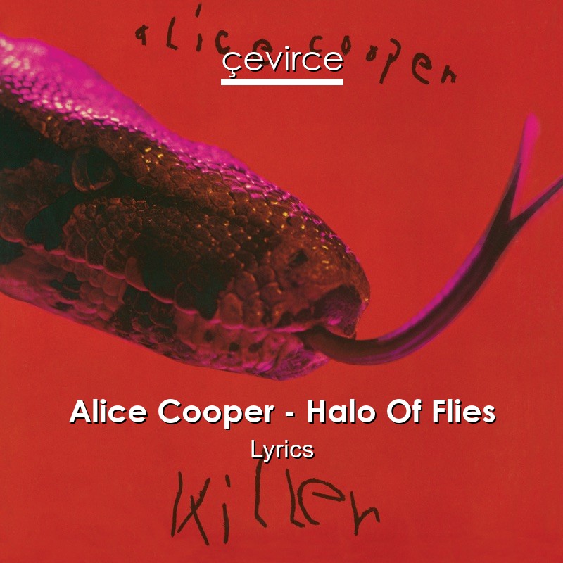 Alice Cooper – Halo Of Flies Lyrics