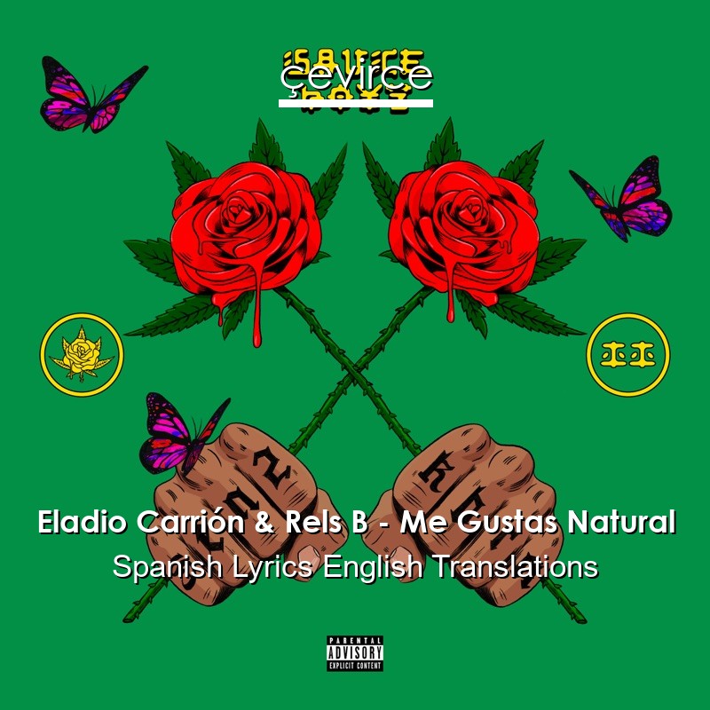 Eladio Carrión & Rels B – Me Gustas Natural Spanish Lyrics English Translations