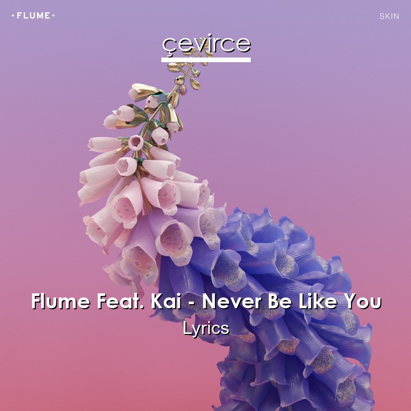 Flume Feat. Kai – Never Be Like You Lyrics