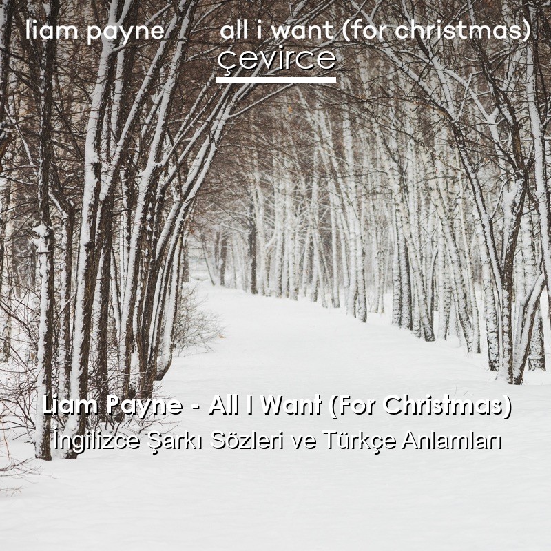 Liam Payne – All I Want (For Christmas) İngilizce Şarkı Sözleri Türkçe Anlamları