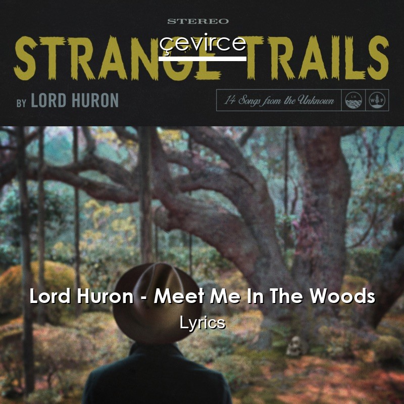 Lord Huron – Meet Me In The Woods Lyrics