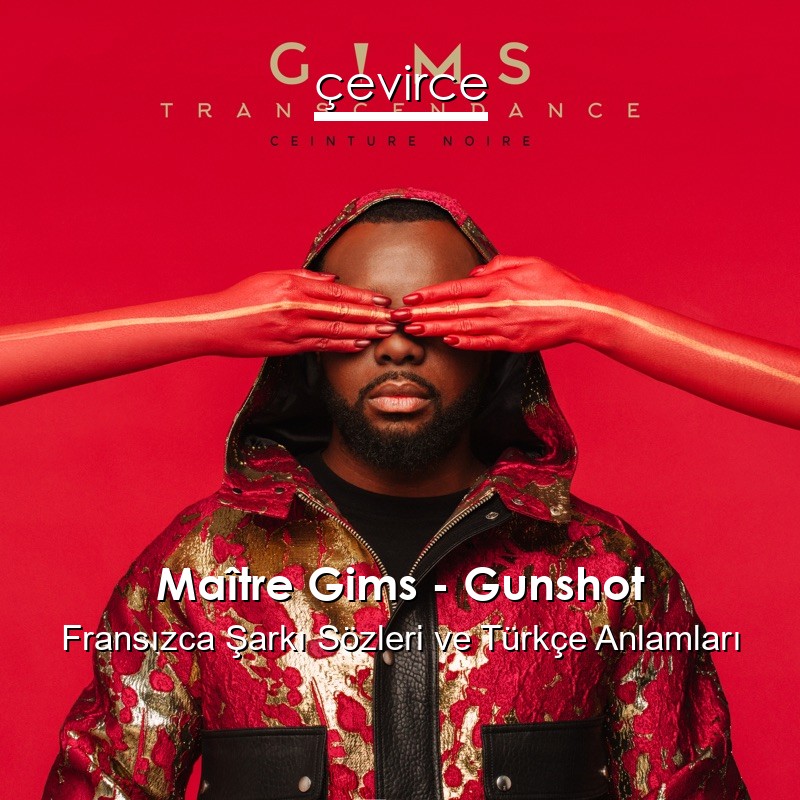 Maître Gims – Gunshot Fransızca Şarkı Sözleri Türkçe Anlamları