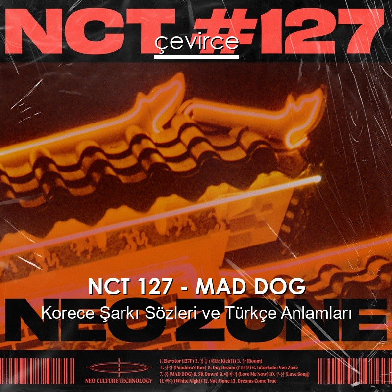 NCT 127 – MAD DOG Korece Şarkı Sözleri Türkçe Anlamları