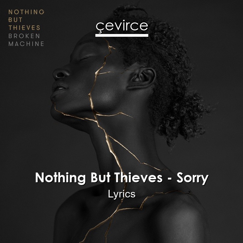 Nothing But Thieves – Sorry Lyrics