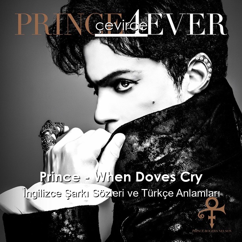 Prince – When Doves Cry İngilizce Şarkı Sözleri Türkçe Anlamları