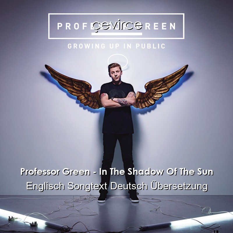 Professor Green – In The Shadow Of The Sun Englisch Songtext Deutsch Übersetzung