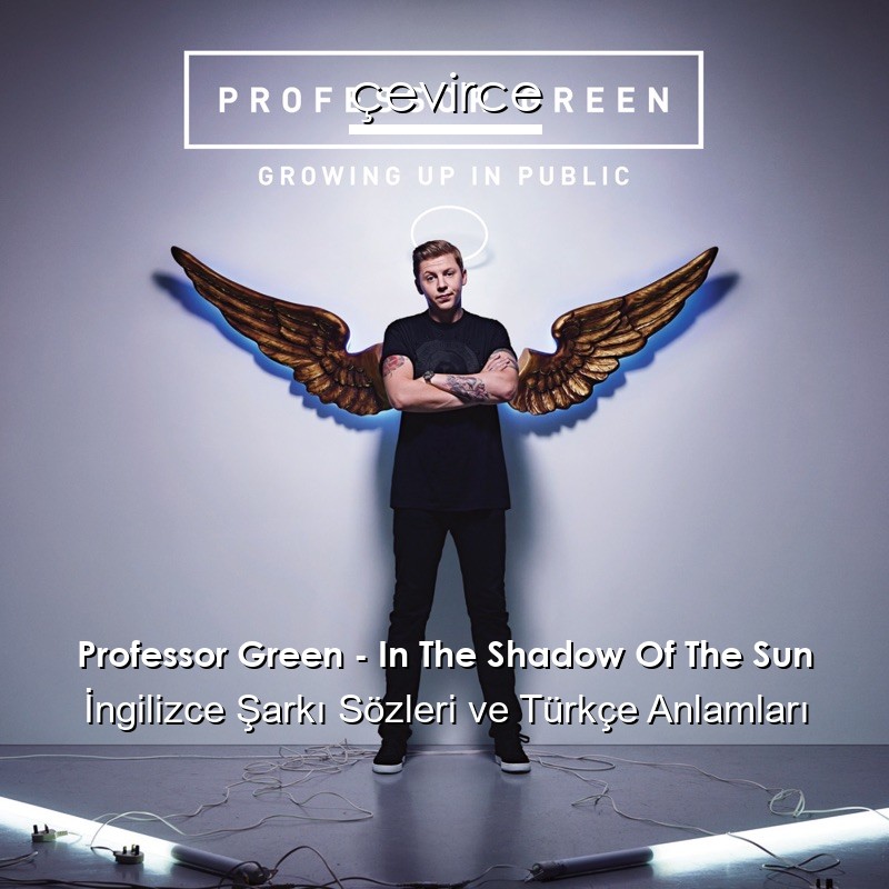 Professor Green – In The Shadow Of The Sun İngilizce Şarkı Sözleri Türkçe Anlamları