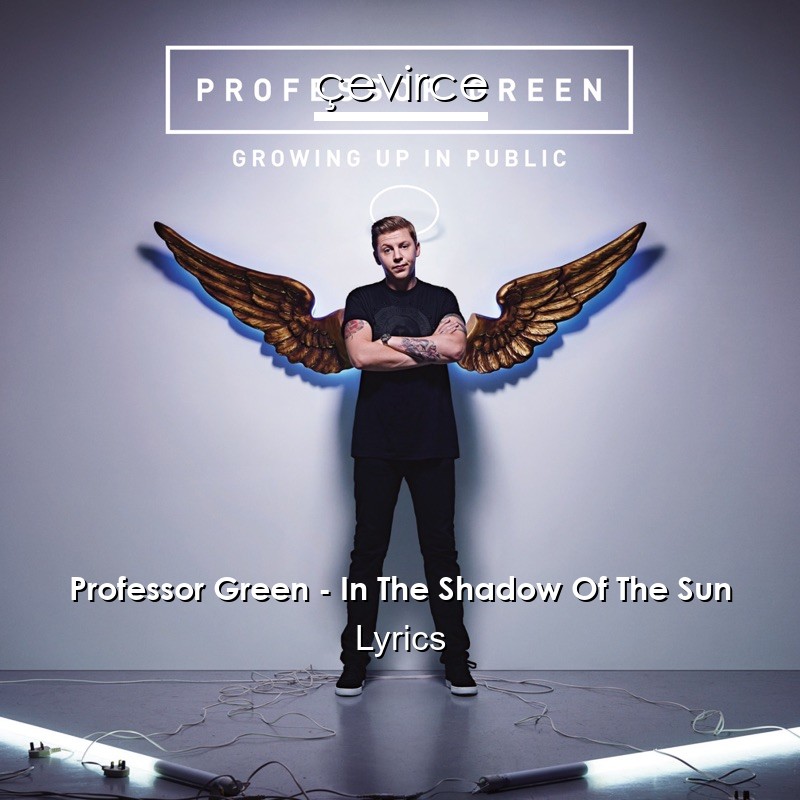 Professor Green – In The Shadow Of The Sun Lyrics