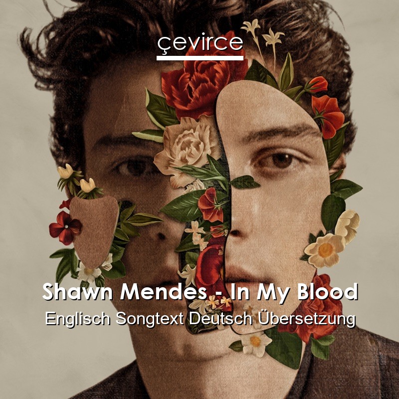 Shawn Mendes – In My Blood Englisch Songtext Deutsch Übersetzung