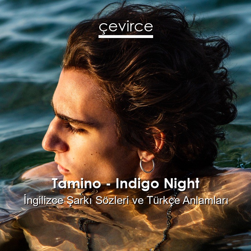 Tamino – Indigo Night İngilizce Şarkı Sözleri Türkçe Anlamları