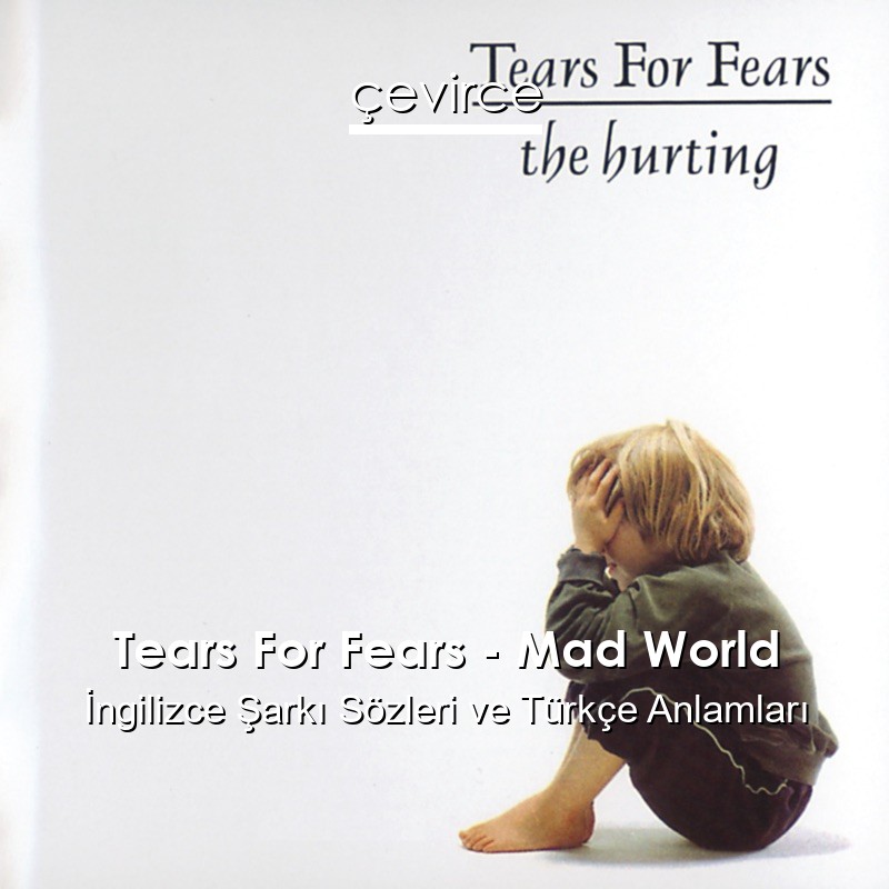 Tears For Fears – Mad World İngilizce Şarkı Sözleri Türkçe Anlamları