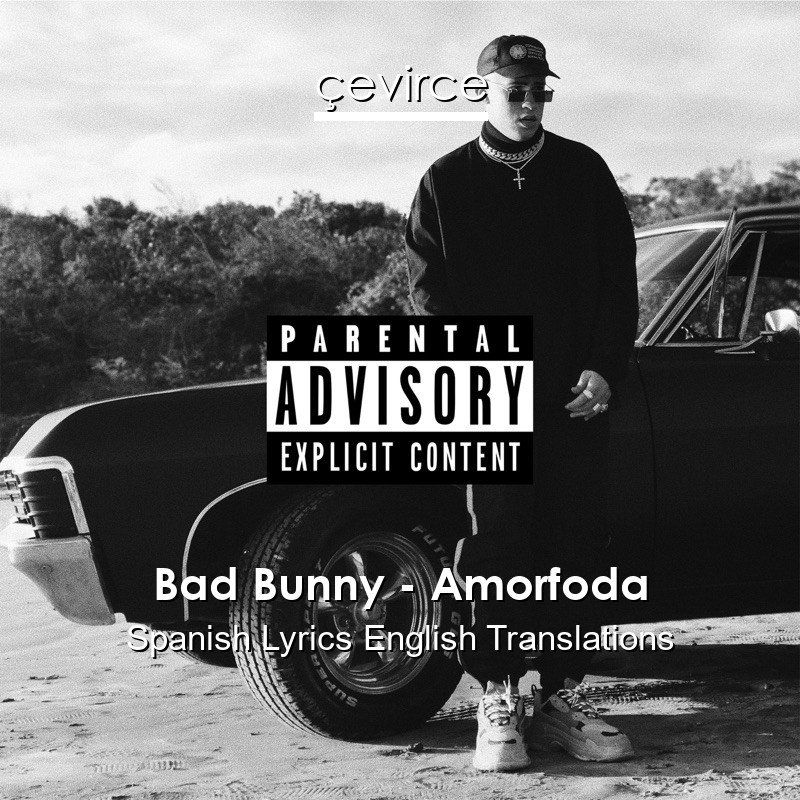 Bad Bunny – Amorfoda Spanish Lyrics English Translations