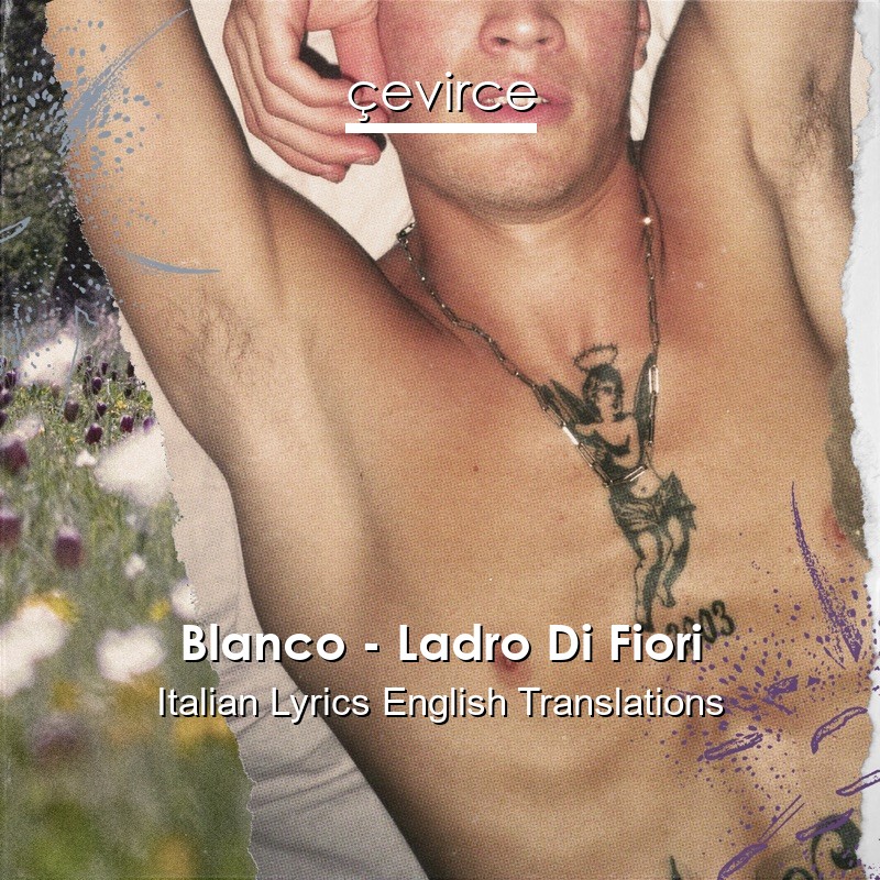 Blanco – Ladro Di Fiori Italian Lyrics English Translations