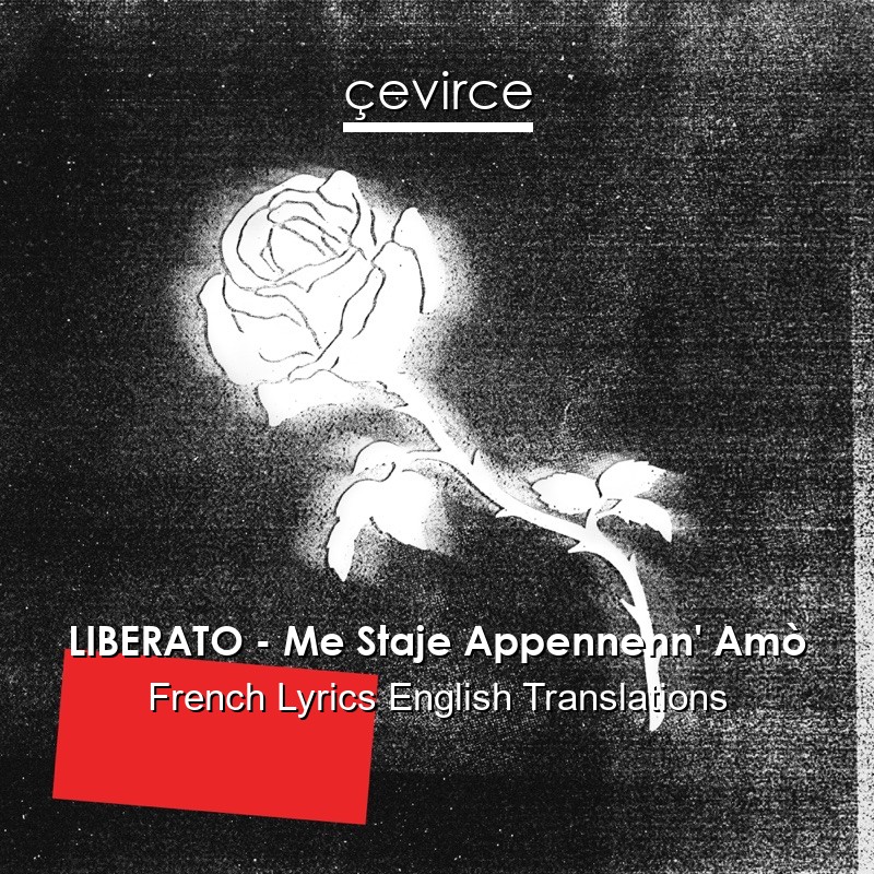 LIBERATO – Me Staje Appennenn’ Amò French Lyrics English Translations