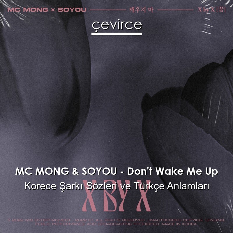 MC MONG & SOYOU – Don’t Wake Me Up Korece Şarkı Sözleri Türkçe Anlamları