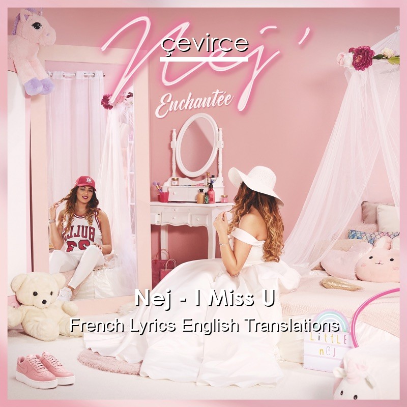 Nej – I Miss U French Lyrics English Translations