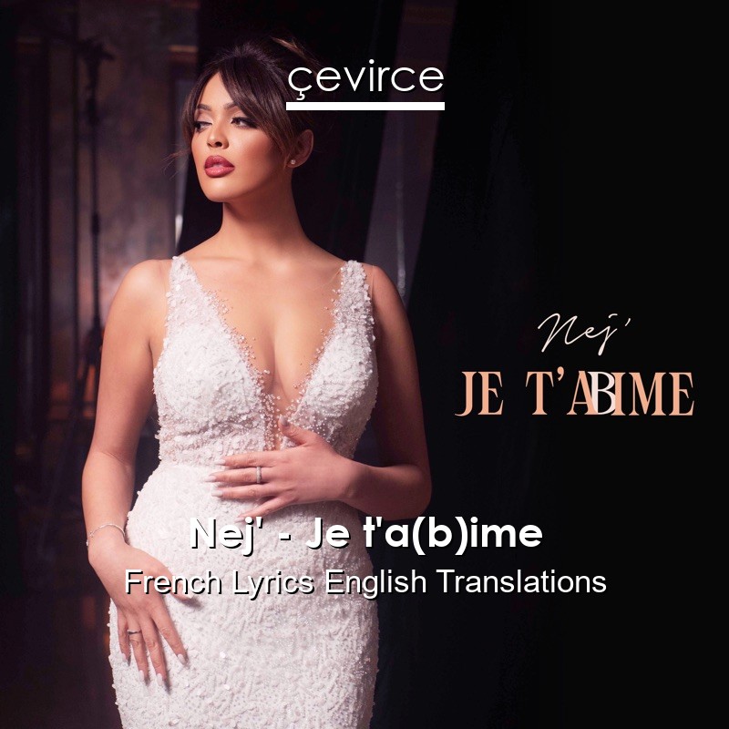 Nej’ – Je t’a(b)ime French Lyrics English Translations