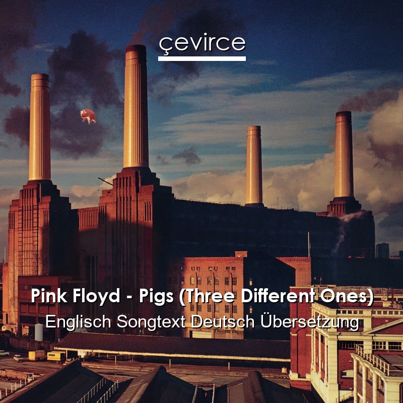 Pink Floyd – Pigs (Three Different Ones) Englisch Songtext Deutsch Übersetzung