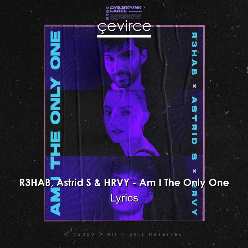 R3HAB, Astrid S & HRVY – Am I The Only One Lyrics