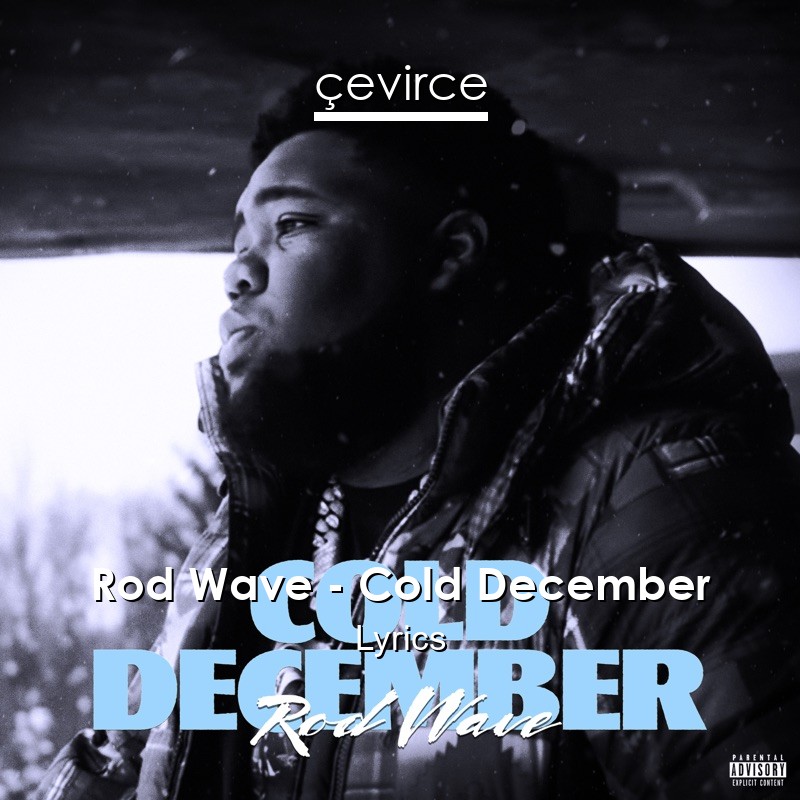 Rod Wave – Cold December Lyrics