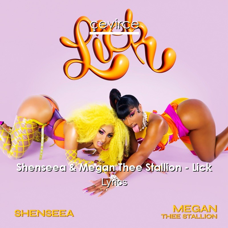 Shenseea & Megan Thee Stallion – Lick Lyrics