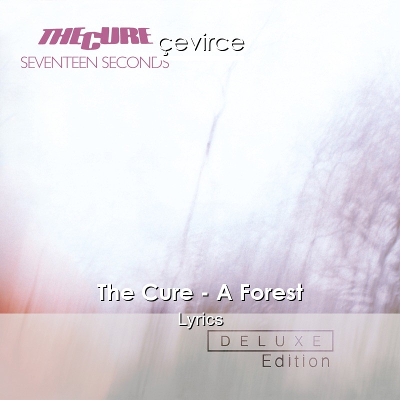 The Cure – A Forest Lyrics