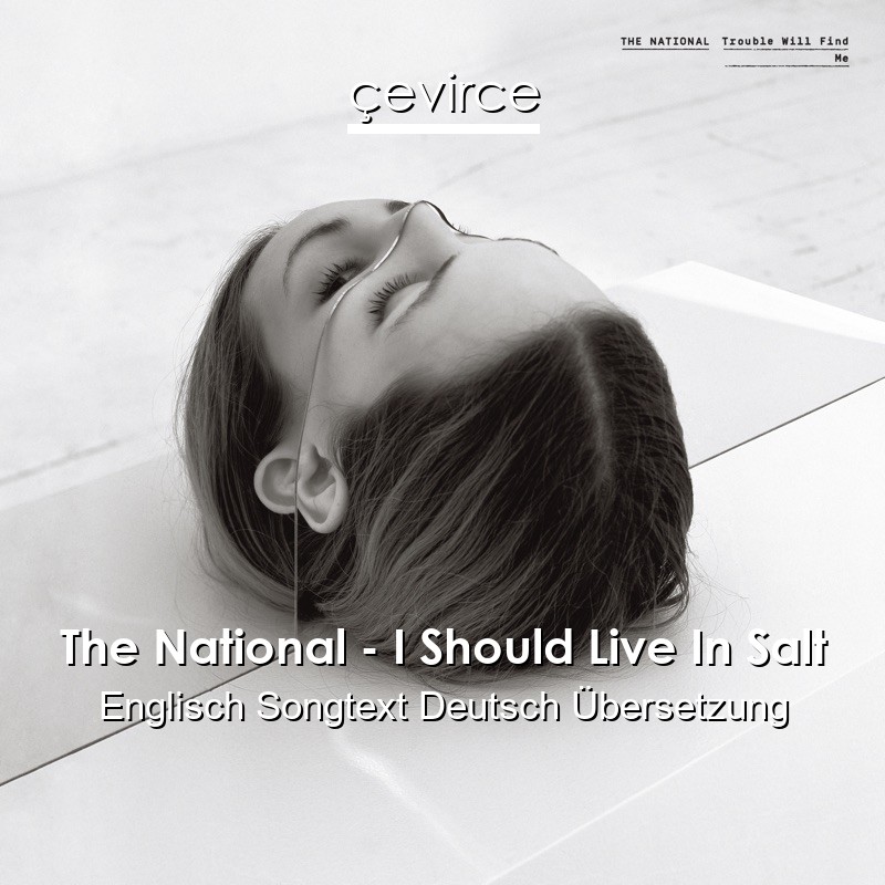 The National – I Should Live In Salt Englisch Songtext Deutsch Übersetzung