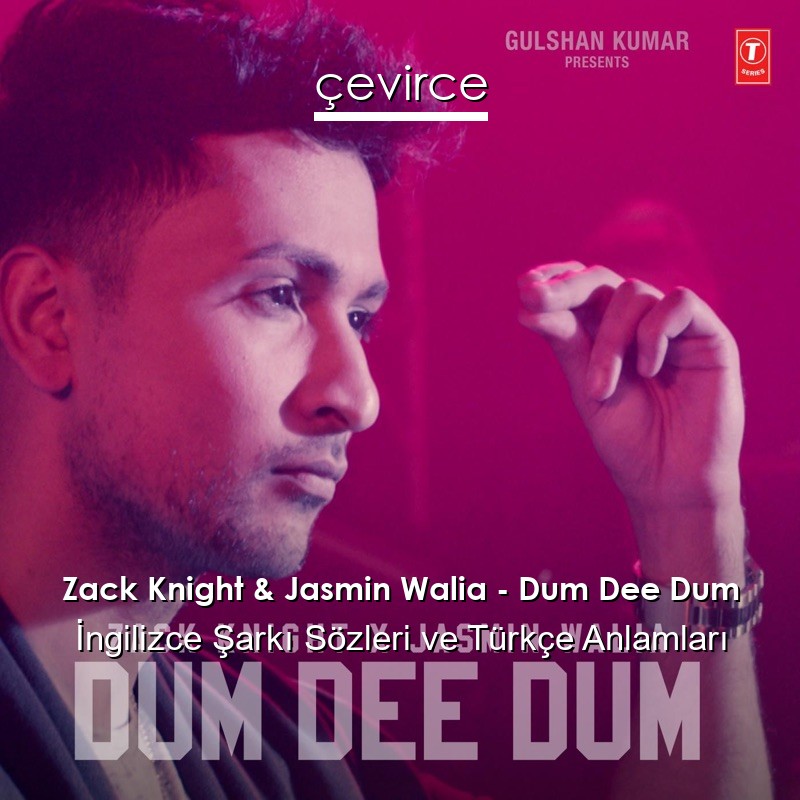 Zack Knight & Jasmin Walia – Dum Dee Dum İngilizce Şarkı Sözleri Türkçe Anlamları