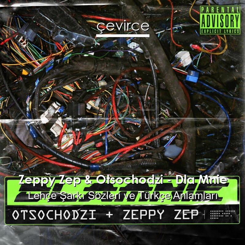 Zeppy Zep & Otsochodzi – Dla Mnie Lehçe Şarkı Sözleri Türkçe Anlamları