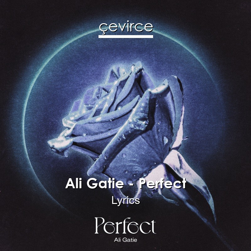 Ali Gatie – Perfect Lyrics