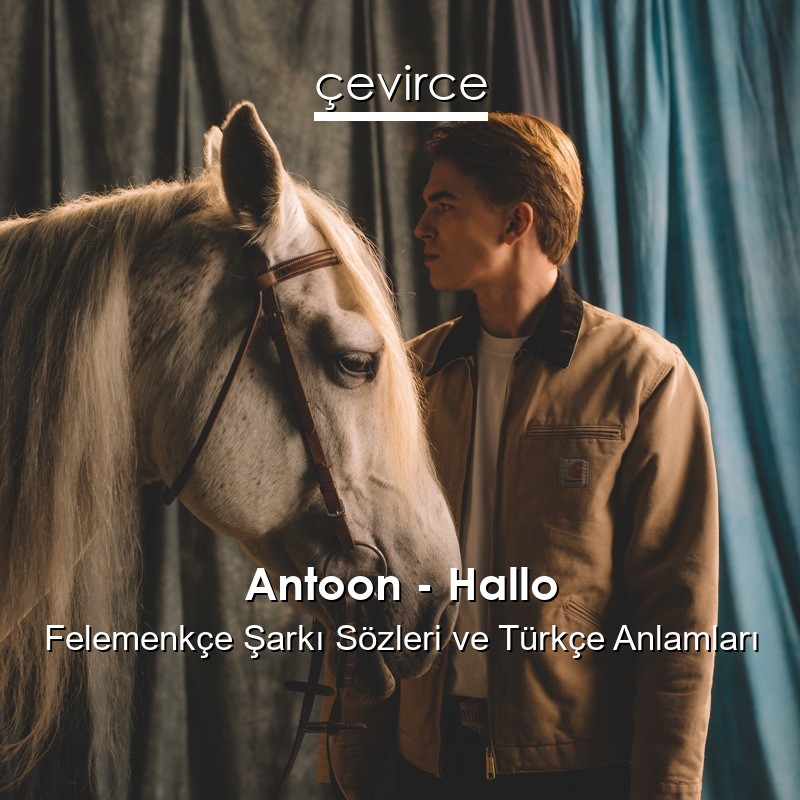 Antoon – Hallo Felemenkçe Şarkı Sözleri Türkçe Anlamları