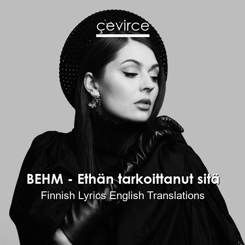 BEHM – Ethän tarkoittanut sitä Finnish Lyrics English Translations