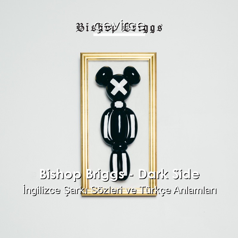 Bishop Briggs – Dark Side İngilizce Şarkı Sözleri Türkçe Anlamları