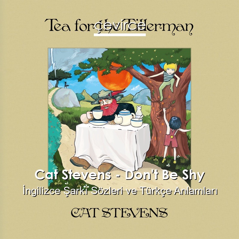 Cat Stevens – Don’t Be Shy İngilizce Şarkı Sözleri Türkçe Anlamları